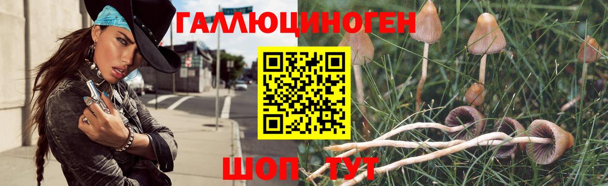 Мончегорск  Псилоцибиновые грибы Magic Shrooms  Вход с VPN 
